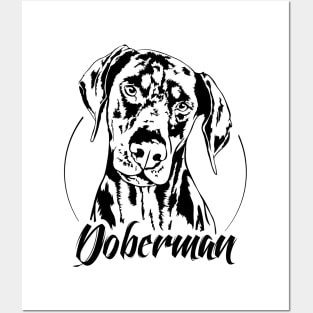 Funny Proud Doberman dog portrait gift Posters and Art